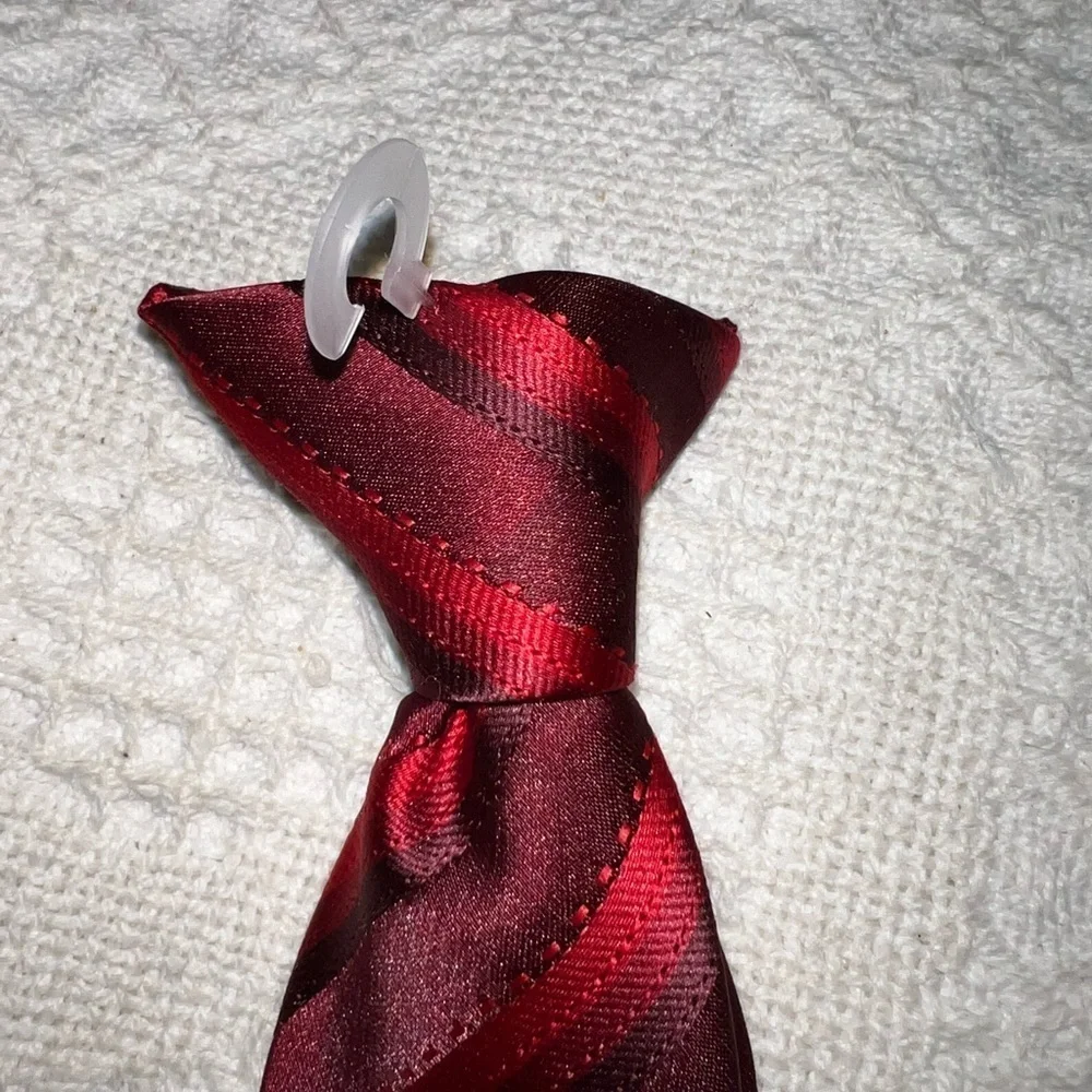 Nwot Little guy’s clip on tie in shades of purple and red